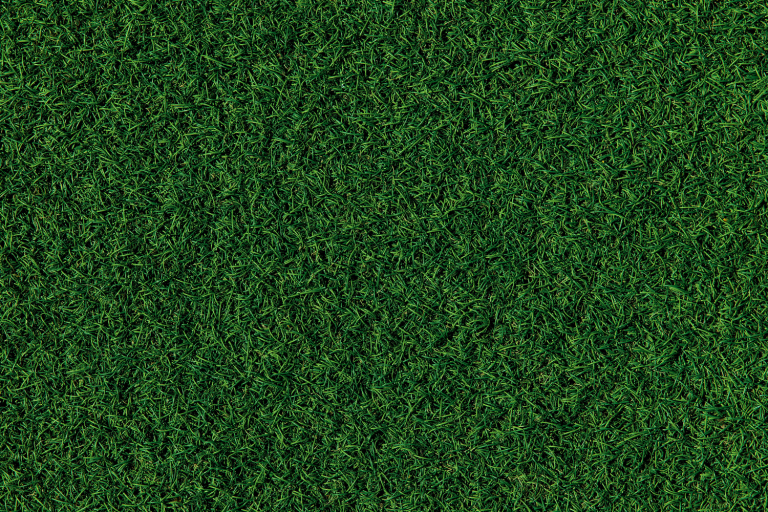 gyep, fu, mutragya, petiso,